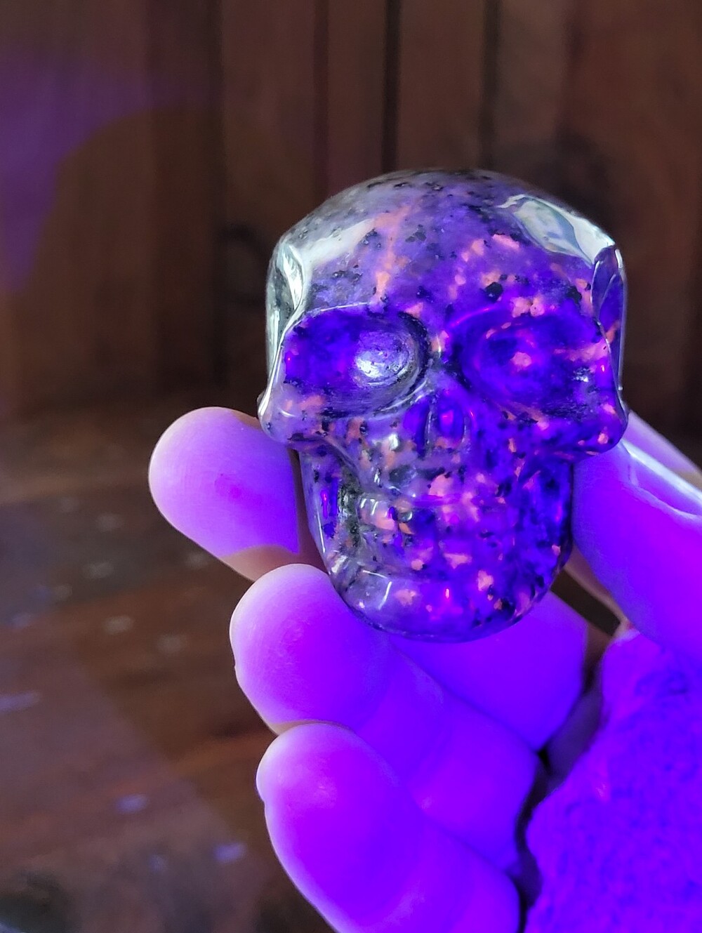 Yooperlite Skull